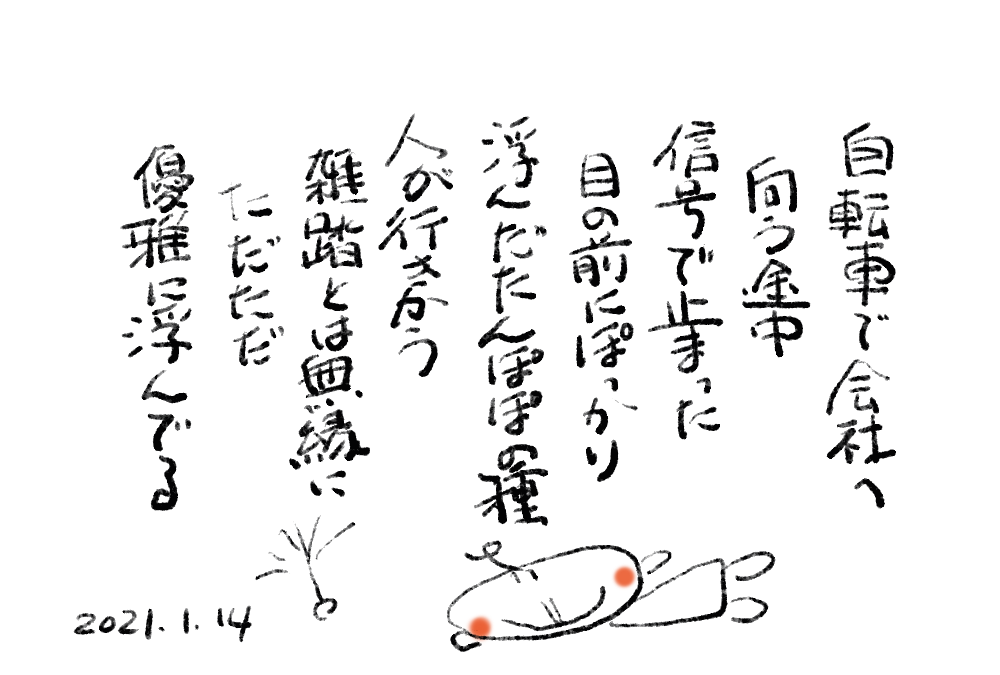 浮かんだタンポポの種